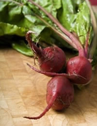 how to grow beetroot
